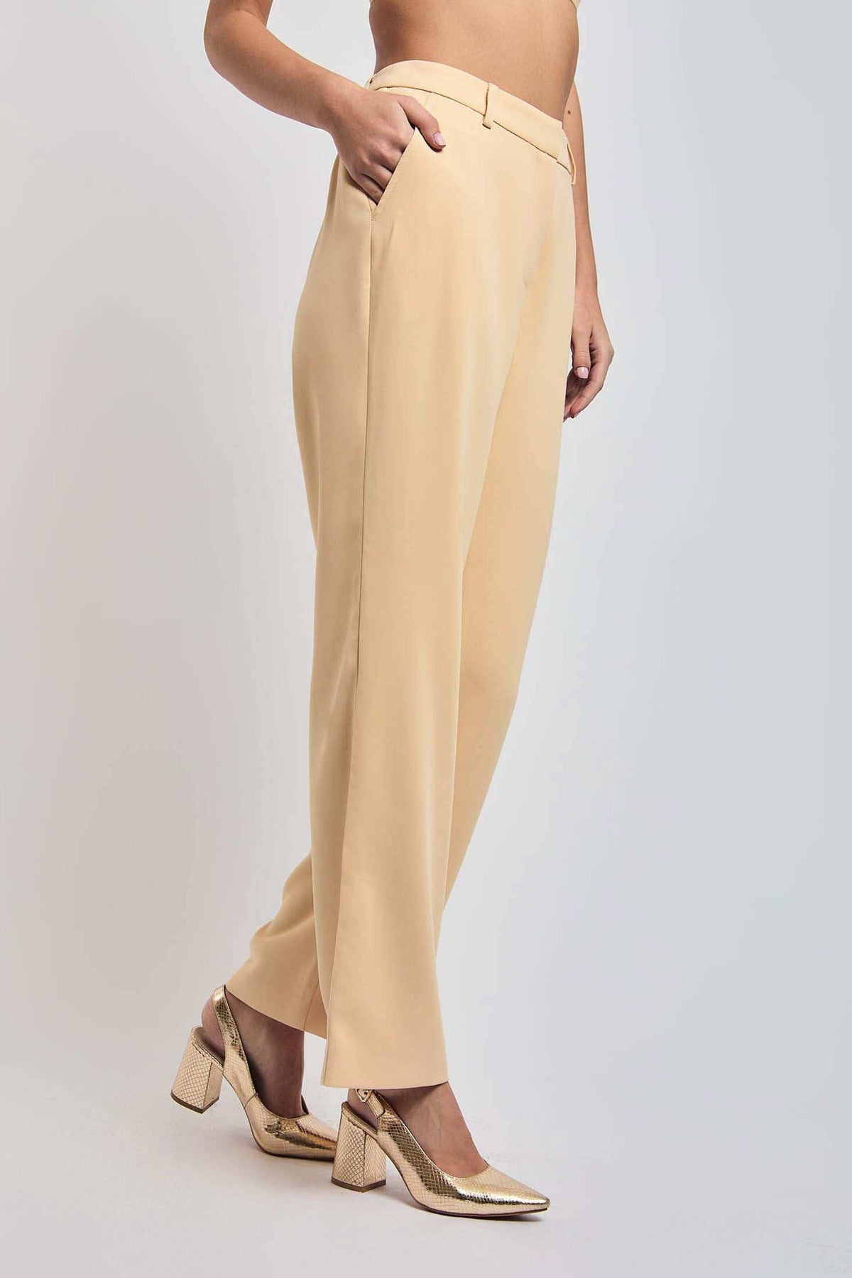 Women Regular Fit Pant - Brown