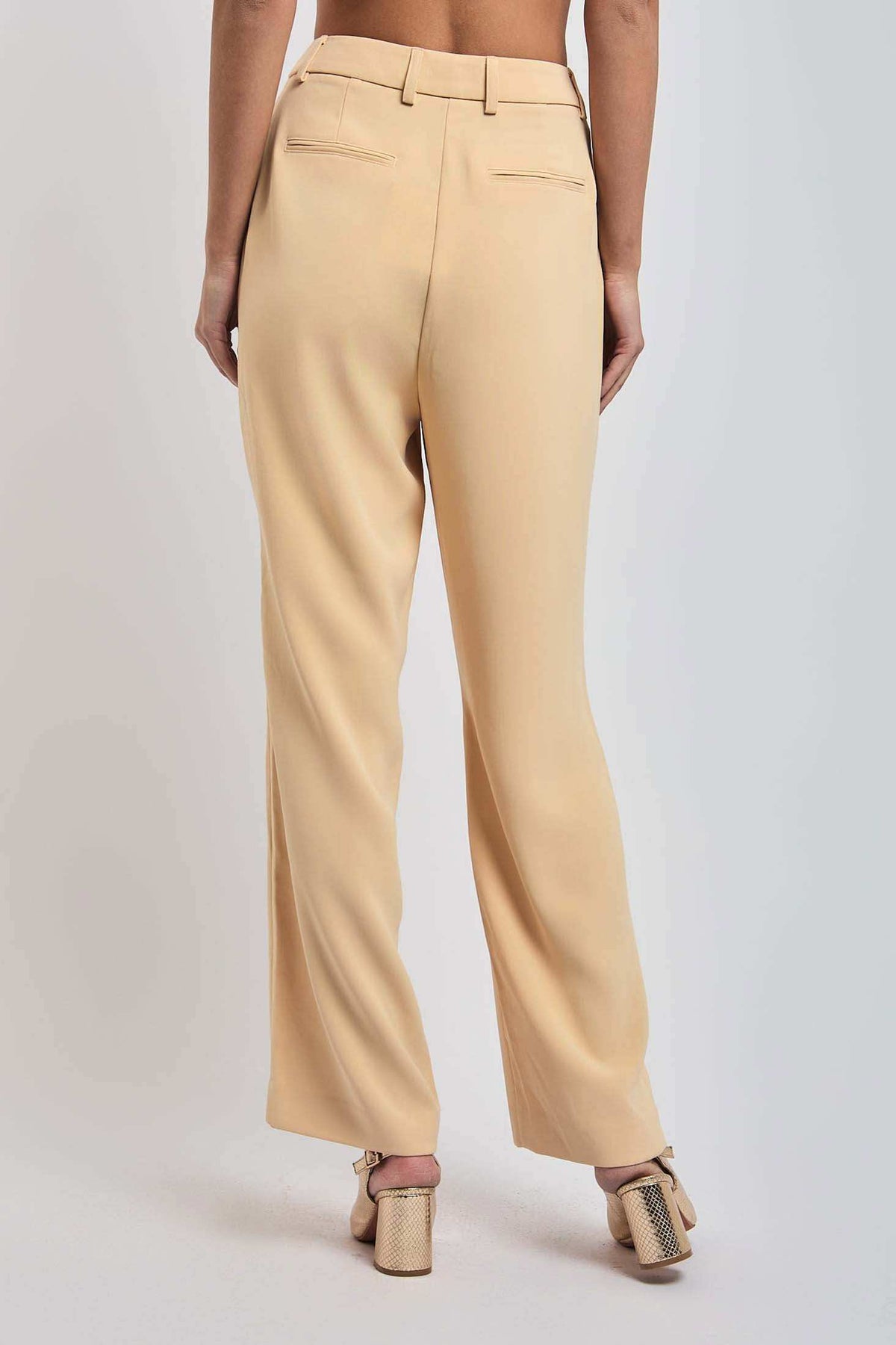 Women Regular Fit Pant - Brown