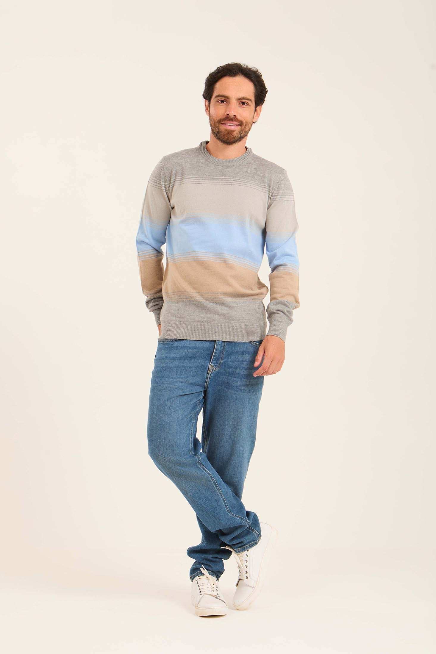 Men Striped Regular Fit Pullover Multicolor